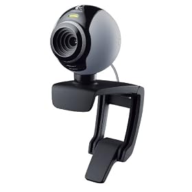 Logitech C250 Webcam (Grey)