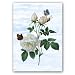 Rosa Indica Combo 1 - 5"x 7" Vellum Overlay Greeting Card
