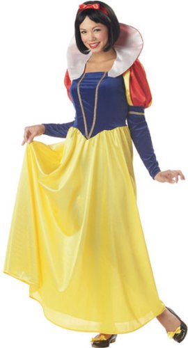 Women's Classic Snow White Costume (Medium 8-10)