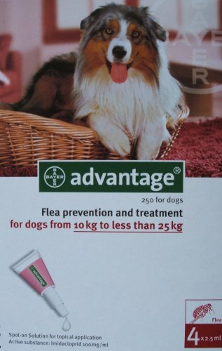 Cheapest Advantage for Dogs 21-55 Lbs. ~~ 12 Months (Red)