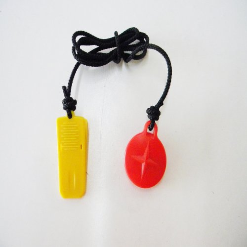 Schwinn Treadmill Key 003-8650
