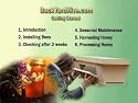 Getting Started in Backyard Beekeeping with the Top Bar Hive