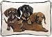 Fiddler's Elbow Dachshund Puppies Leslie Anderson Designer Decorative Dog Pillow