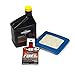 Briggs & Stratton Briggs and Stratton 5140B Quantum Series Engine Maintenance Kit