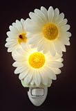 Ladybug on Daisies Ibis and Orchid Flowers of Light Night Light Collection