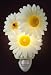 Ladybug on Daisies Ibis and Orchid Flowers of Light Night Light Collection