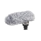 Canon 2591B002 DM-100 Directional Stereo Microphone for HF10 and HF100 Camcorders