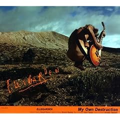 My Own Destruction  (Japan Version) [DE Import]