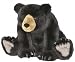 Buster Bear