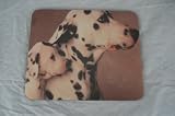 Review The Moneyman  / Dalmatian & Pup DOG Mouse Mat Pad New GIFT K9