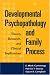 Developmental Psychopathology and Family Process: Theory, Research, and Clinical Implications