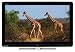Electronics : Sharp LC22LE320E 22-inch Slim Line 1080p LCD TV with LED Edge-Lighting