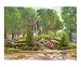 View of Houdon's Washington - Lafayette Park Scenic Giclee Poster Print by Dawn Wagner, 10x8
