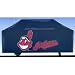 Cleveland Indians Grill Cover