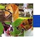Gentle Leader Head Collar - Large - Blue