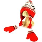 Winter Boys 2-4 Knit Dinosaur Ski Trapper Beanie Hat with Mittens Gloves Set Red