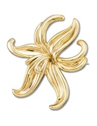 14K Yellow Gold Metal Fashion Brooch