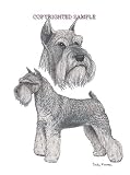 Schnauzer - Double Image by Cindy Farmer