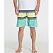 Billabong Men's All Day Stripe X Stretch Boardshort