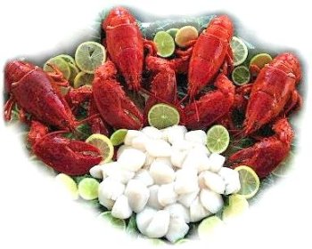 Lobster and Scallops Lover, 4 Lobsters and 2 lbs. Sea Scallops by Fresh Sea Scallops