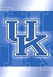 University of Kentucky Wildcats Silk Reflections Flag - Garden Size