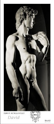 Palazzi Panorama - Genius Michelangelo: David: Mit Dauerkalendarium und Magnet-Pin