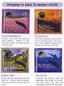 Aromatherapy Cd Incense Fragrance Essence Stick Nature Favor