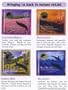 Aromatherapy Cd Incense Fragrance Essence Stick Nature Favor