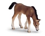 Schleich 13652  - Pferde, Araber Fohlen, grasend