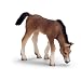 Schleich 13652  - Pferde, Araber Fohlen, grasend