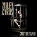 Can'T Be Tamed