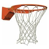 Slammer Flex Breakaway Basketball Goal from Spalding