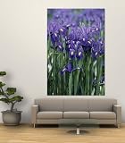 Field of Purple Dutch Iris by Steve Stroud, 48x72