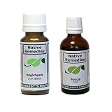 Native Remedies Focus Formula And Brightspark Combopack (two Of Each), 0.4 Units