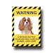 Cavalier King Charles Spaniel Spoiled Rotten Fridge Magnet No 2