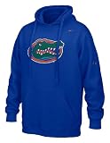 Florida Gators Nike Flea Flicker Hoody