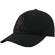 Zephyr Arkansas Razorbacks Black DH Metallic Logo Fitted Hat