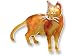   - Clearly Charming Abyssinian Cat Silver and Enamel Pin by Zarah