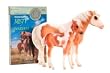 Breyer Misty and Stormy - Traditional Series 1:9 Scale
