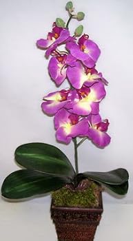 Silk Phaleonopsis Orchid (purple) in Dark Wood