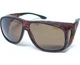 Cocoons Live Eyewear Sunglasses Aviator (Extra Large) Tortoise Frame with Polarized Amber... by 