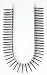 Tools & Hardware : Makita 772209-A No. 6 by 1-5/8-Inch Phillips Coarse Thread Drywall Screw (1,000 per Box)