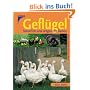 Gefl�gel. Nat�rlich und artgerecht halten: H�hner, Enten, G�nse, Puten