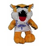 Kentucky Wildcats Mascot Doll