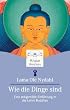 Wie die Dinge sind: Eine zeitgemäße Einführung in die Lehre Buddhas