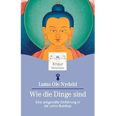 Wie die Dinge sind: Eine zeitgem��e Einf�hrung in die Lehre Buddhas
