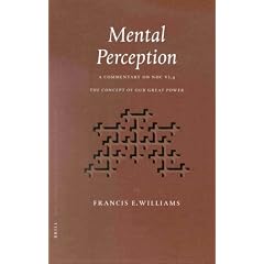 Mental Perception: A Commentary on Nhc, VI, 4, "the Concept of Our Great Power" (Nag Hammadi and Manichaean Studies): A Commentary on Nhc, VI, 4, "the Concept of Our Great Power"