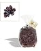 Gourmet Food : Pitted Bing Cherries, 1lb