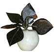 Jade apple - hand carved