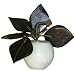 Jade apple - hand carved